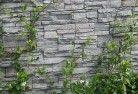 Mundongogreen-walls-4.jpg; ?>